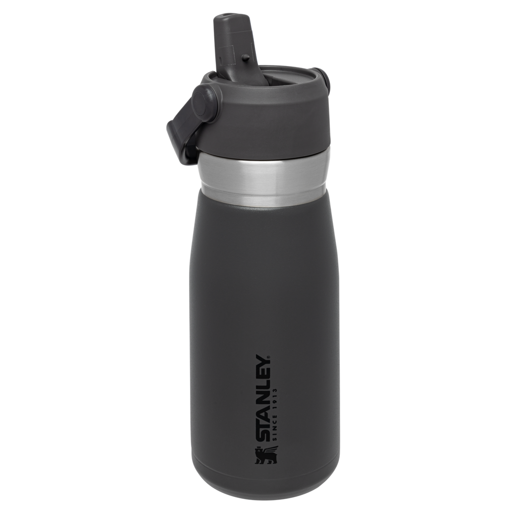 Go Flip Straw Water Bottle D154N