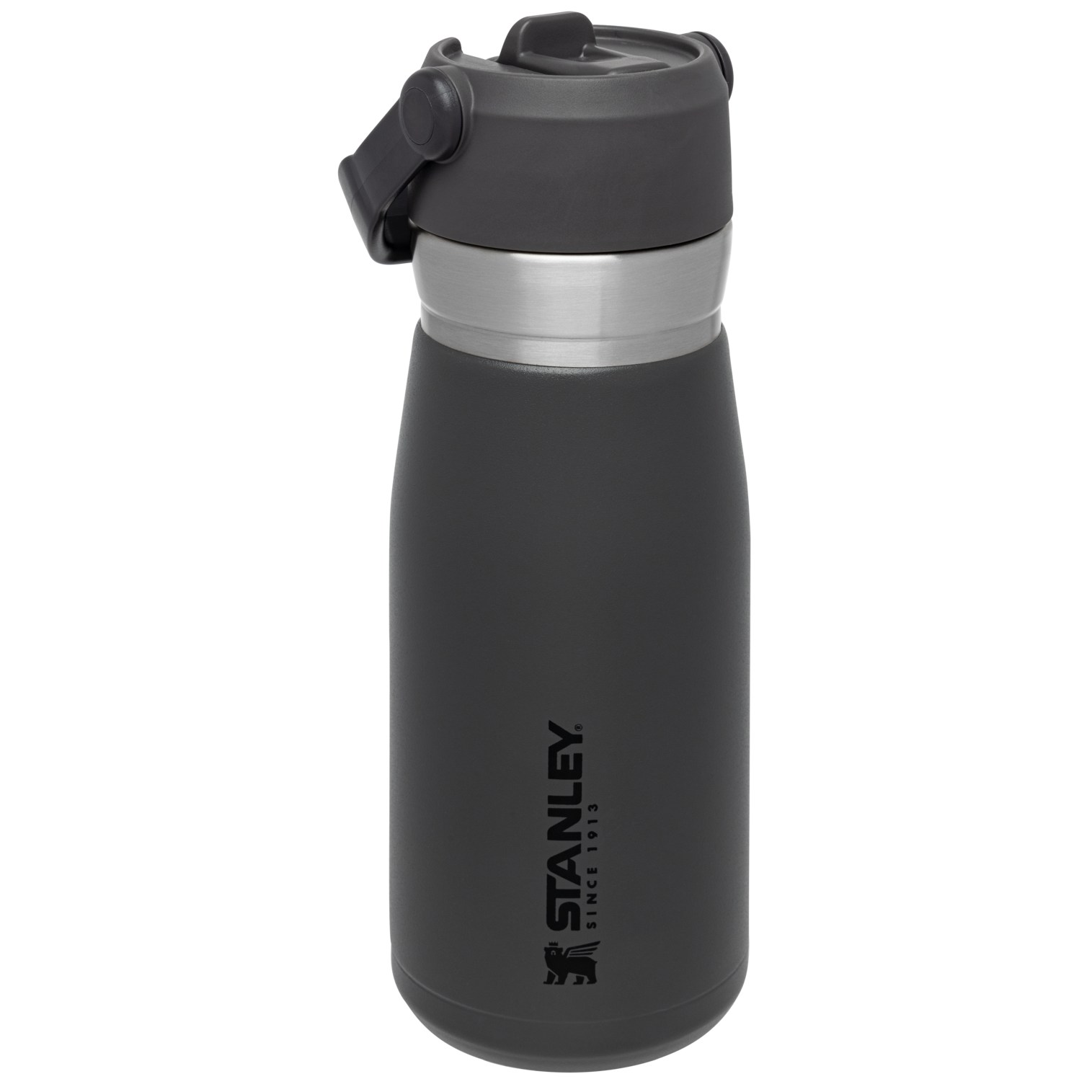 Go Flip Straw Water Bottle D154N