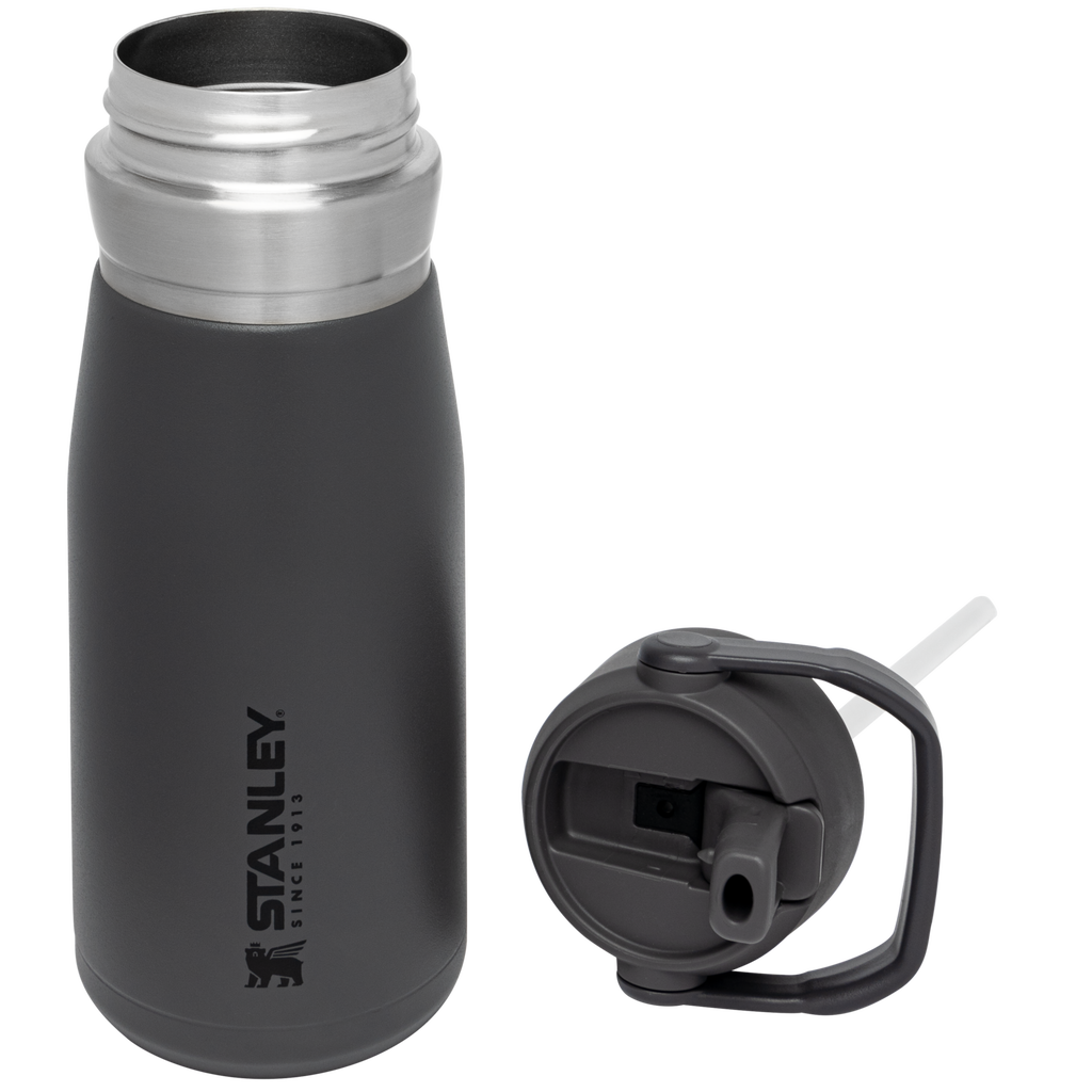 Go Flip Straw Water Bottle D154N