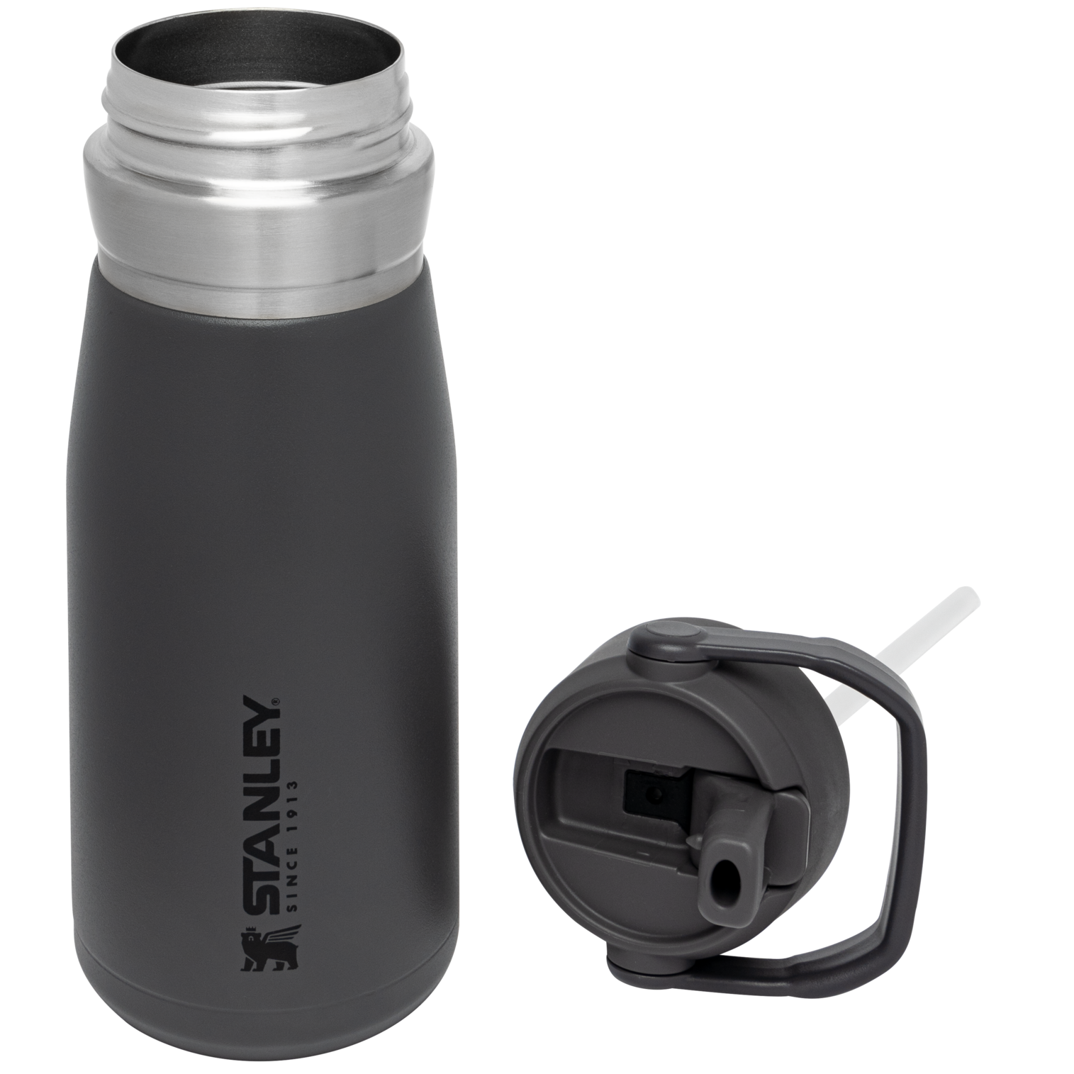 Go Flip Straw Water Bottle D154N