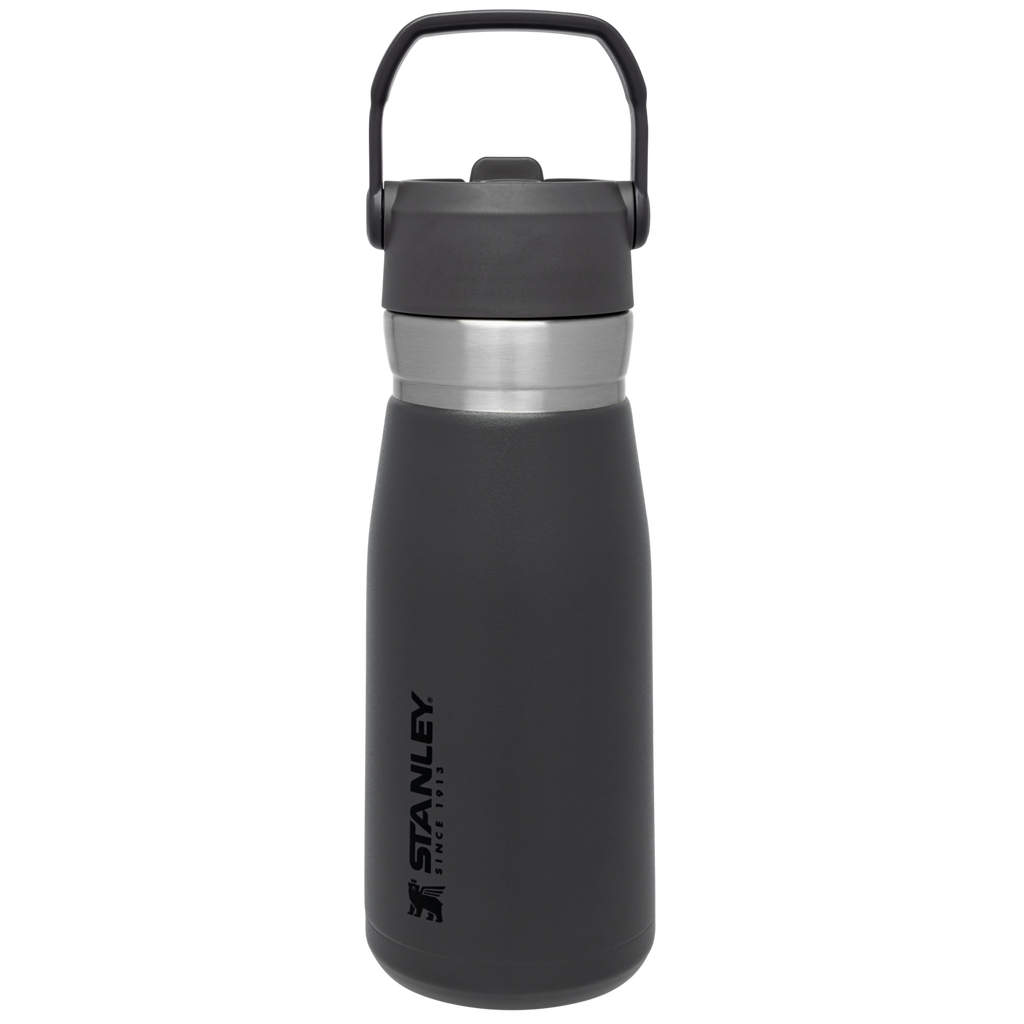Go Flip Straw Water Bottle D154N