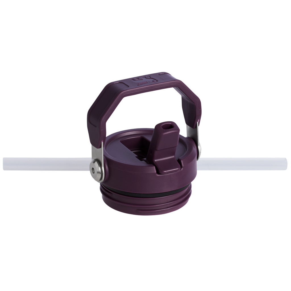 The IceFlow™ Bottle with Flip Straw Lid D058K